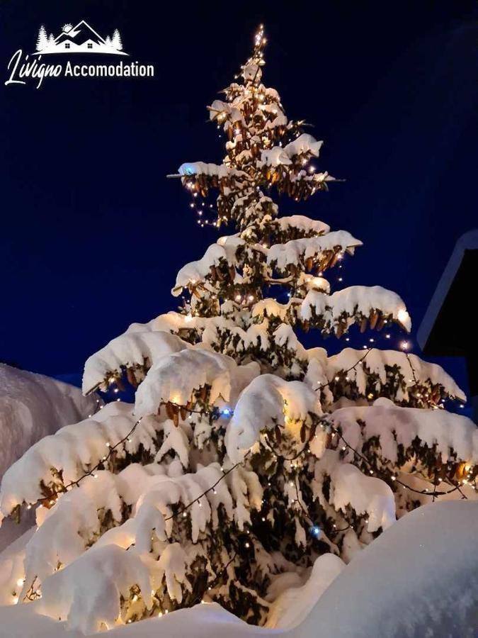 Alpen Royal By Livigno Accomodation Exteriör bild